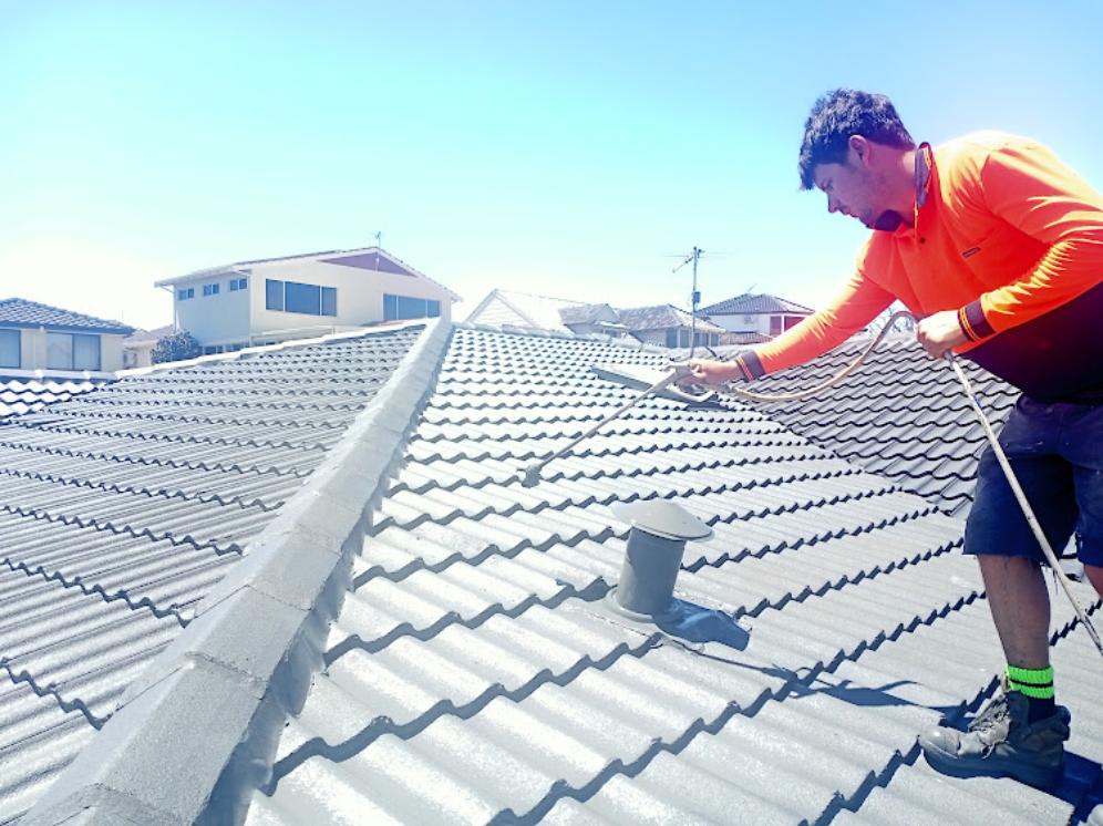Roof Painting 0411188994